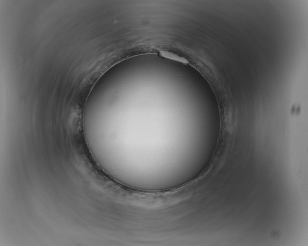 X0000114000029200910021327