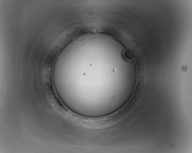 X0000114000030200910021327