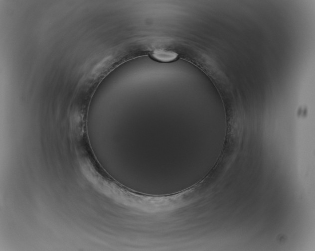 X0000114000031200910021327