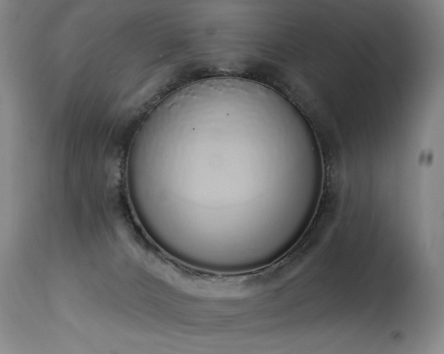 X0000114000032200910021327