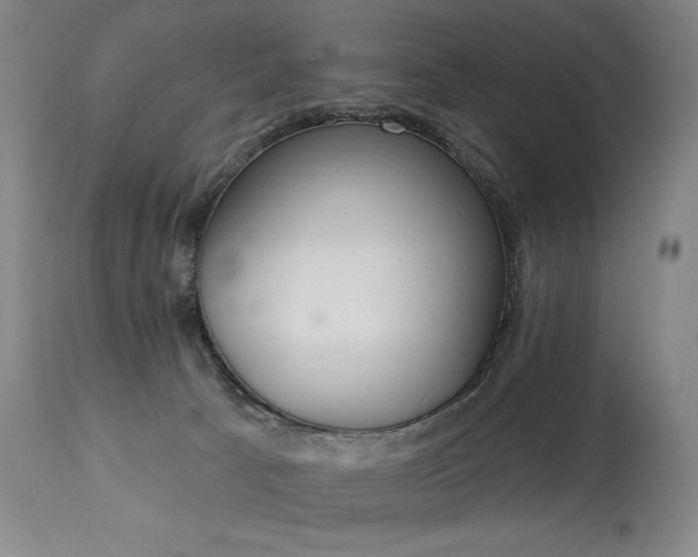 X0000114000033200910021327