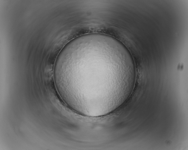 X0000114000034200910021327