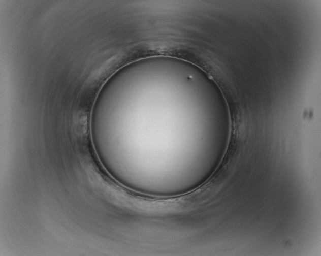 X0000114000036200910021327