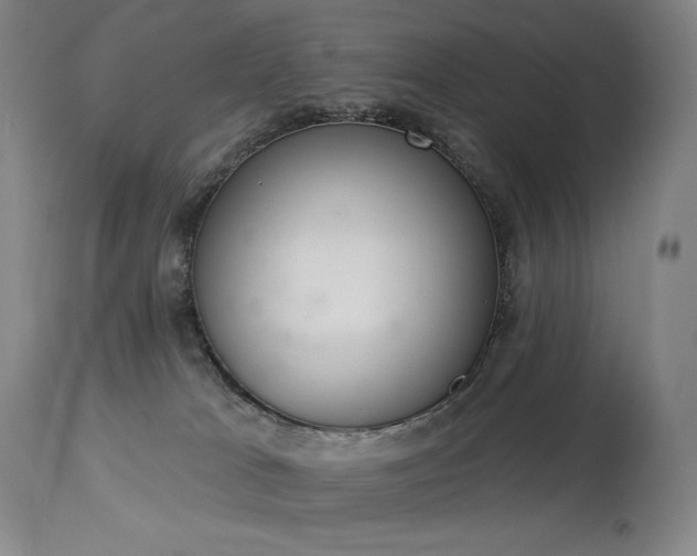 X0000114000037200910021326