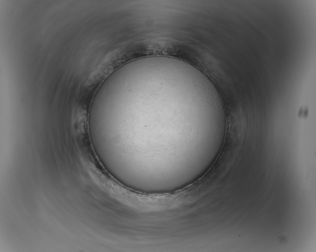 X0000114000038200910021326