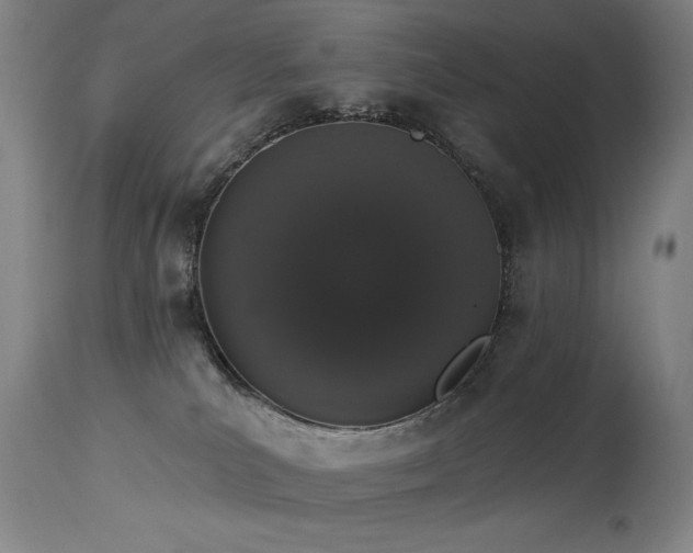 X0000114000039200910021326