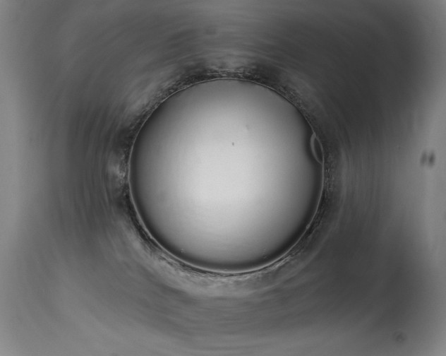 X0000114000040200910021326