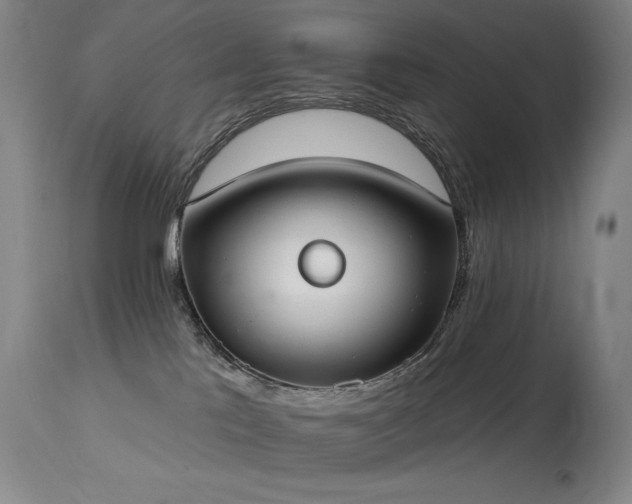 X0000114000041200910021326