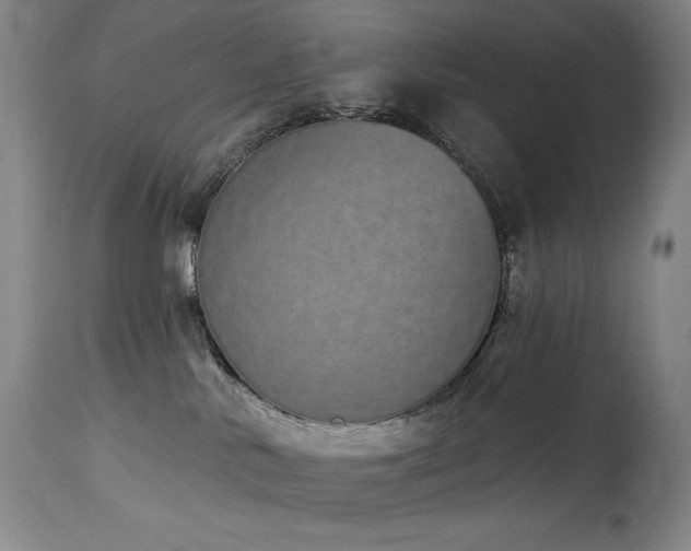 X0000114000042200910021326