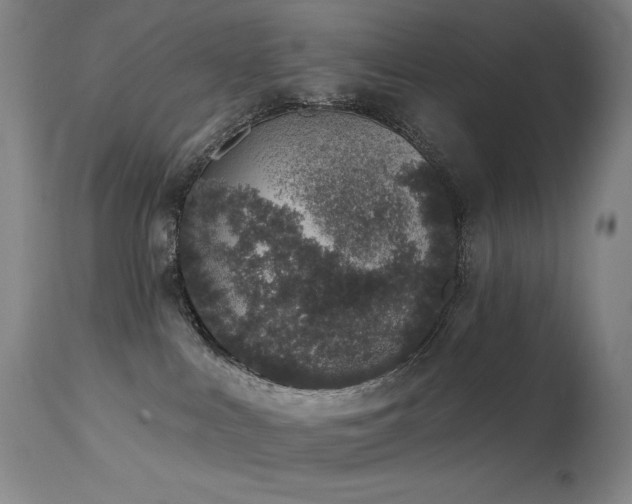 X0000114000043200910021326