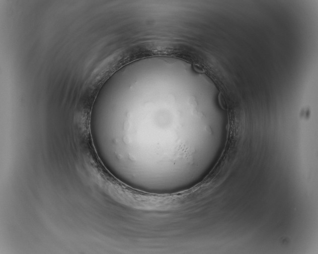 X0000114000044200910021326