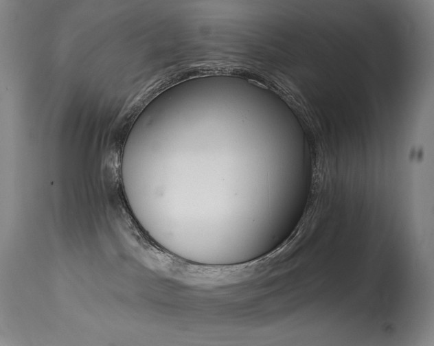 X0000114000045200910021326