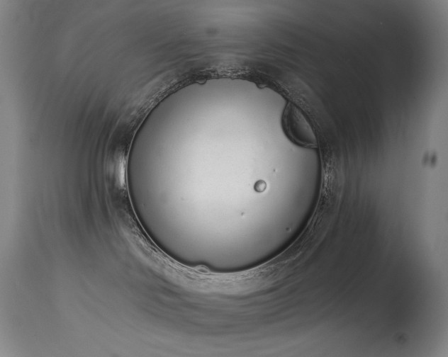 X0000114000046200910021326