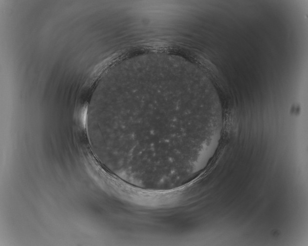 X0000114000047200910021326