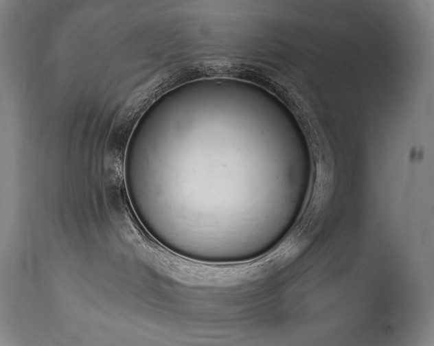 X0000114000048200910021326