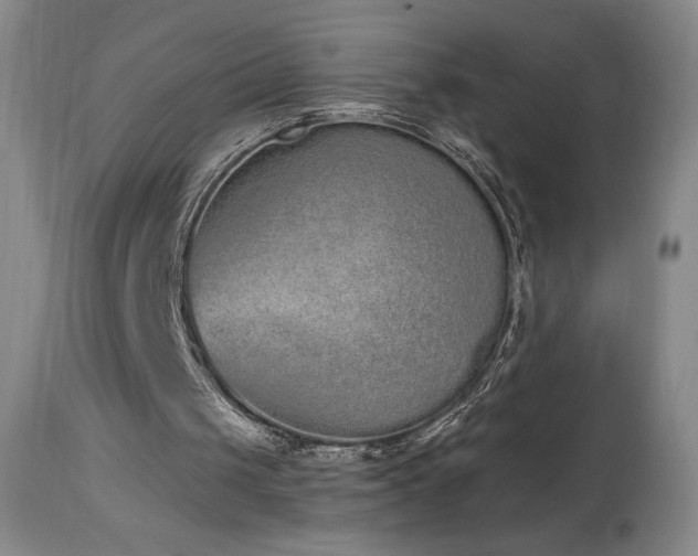 X0000114000049200910021326