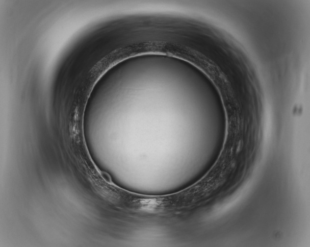 X0000114000050200910021326