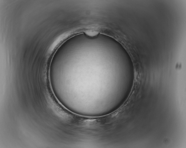X0000114000054200910021326