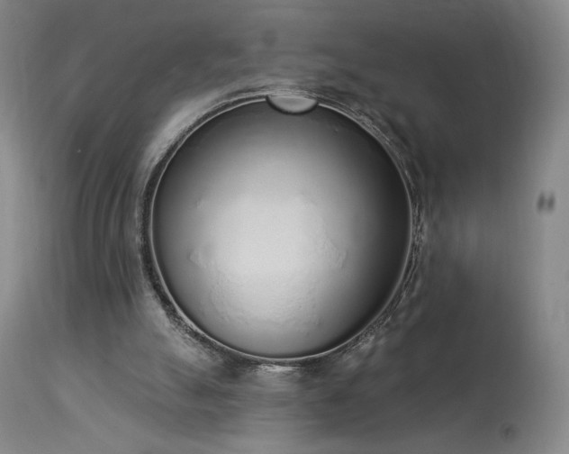 X0000114000055200910021326