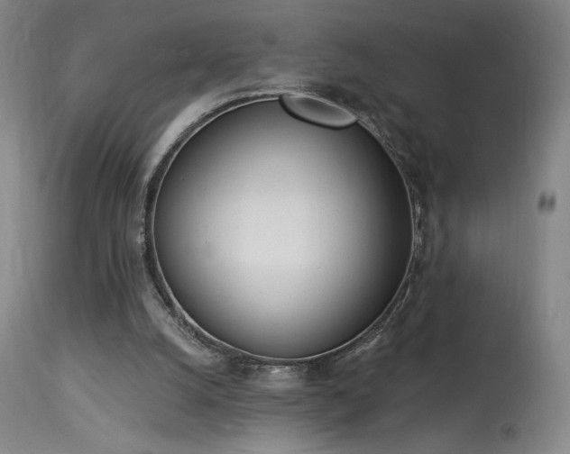X0000114000056200910021326