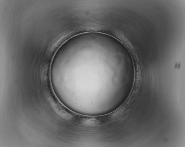 X0000114000058200910021326