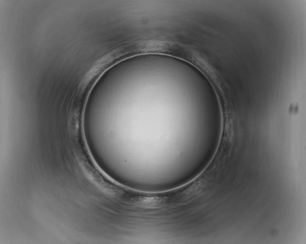 X0000114000059200910021326