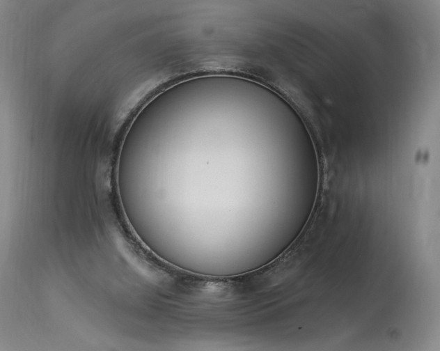 X0000114000060200910021326
