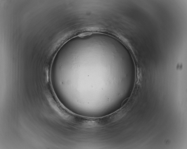 X0000114000061200910021326