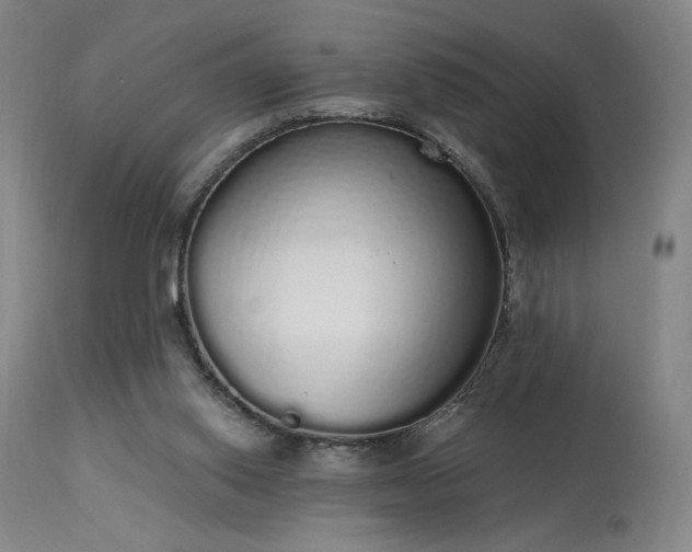 X0000114000062200910021326