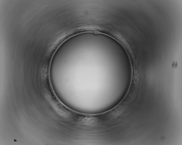 X0000114000063200910021326