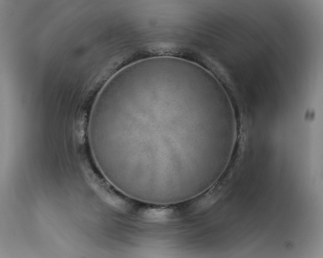X0000114000065200910021326