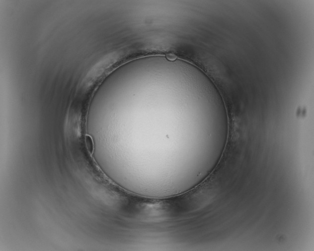 X0000114000068200910021326