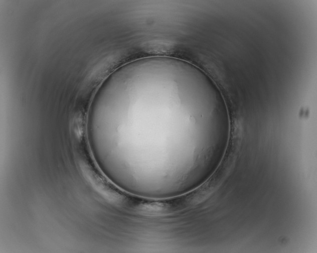 X0000114000069200910021326