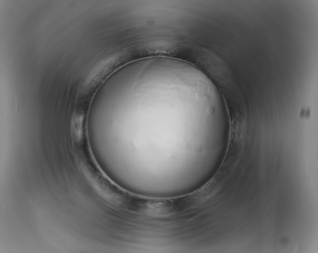 X0000114000070200910021326