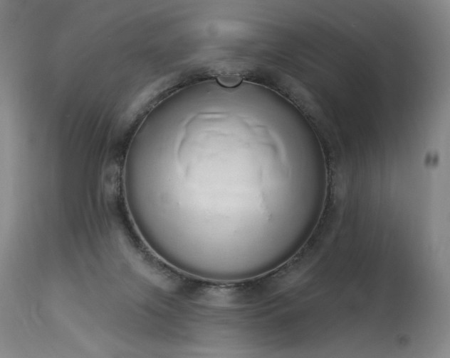 X0000114000071200910021326