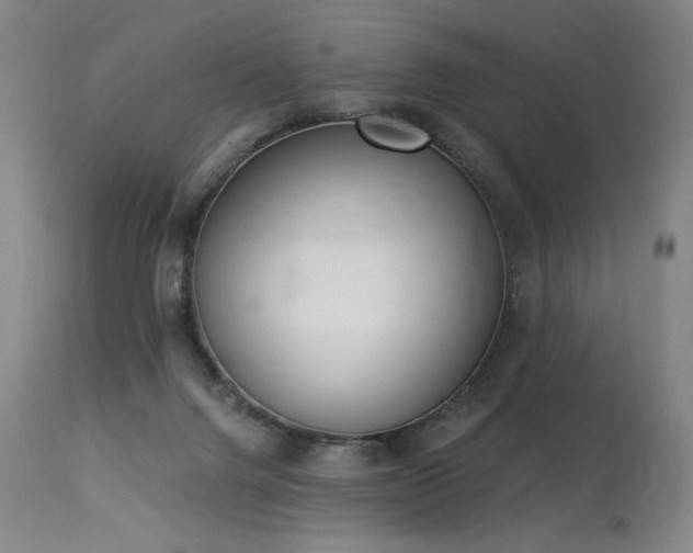 X0000114000072200910021326
