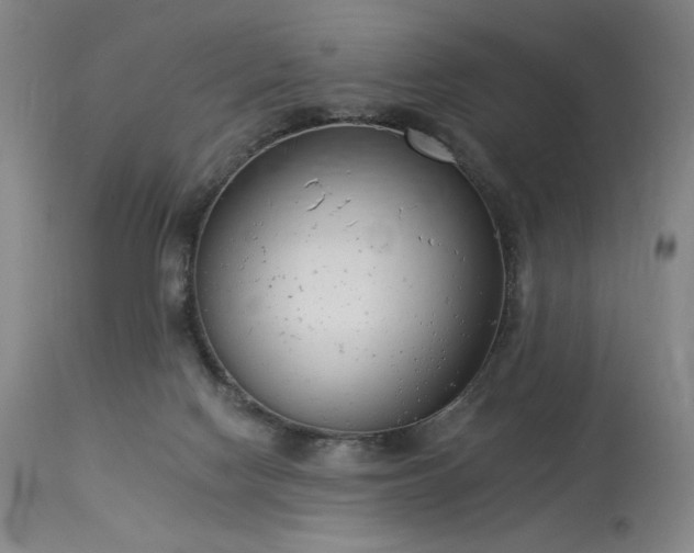 X0000114000074200910021326