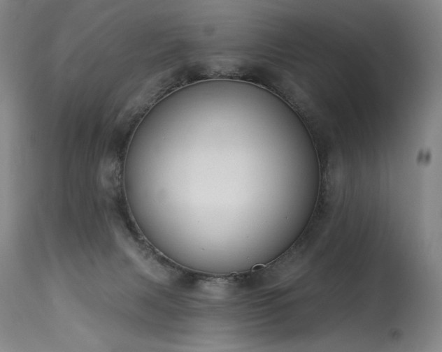 X0000114000079200910021326