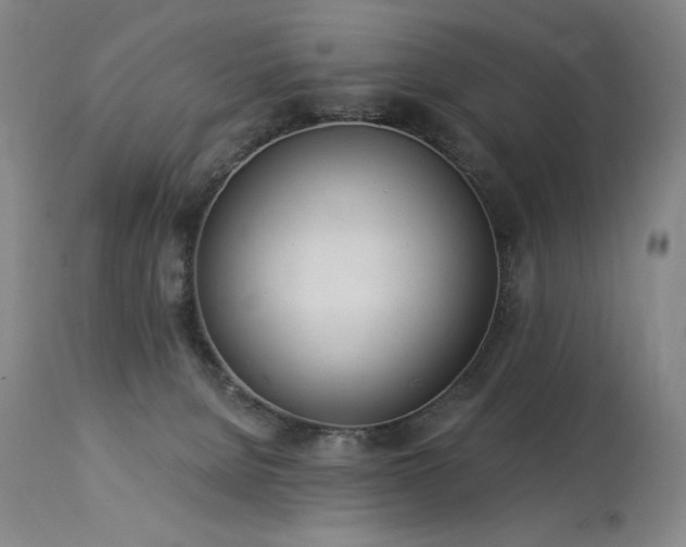 X0000114000080200910021326