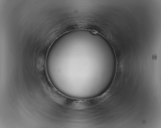 X0000114000082200910021326