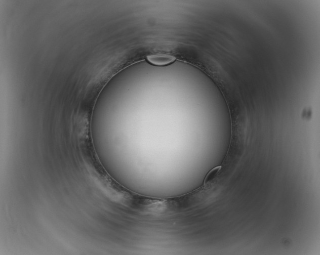X0000114000083200910021326