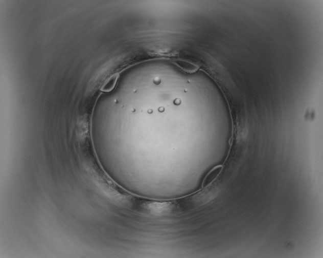 X0000114000085200910021326