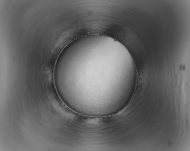X0000114000086200910021326