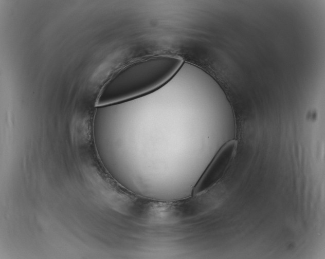 X0000114000088200910021326