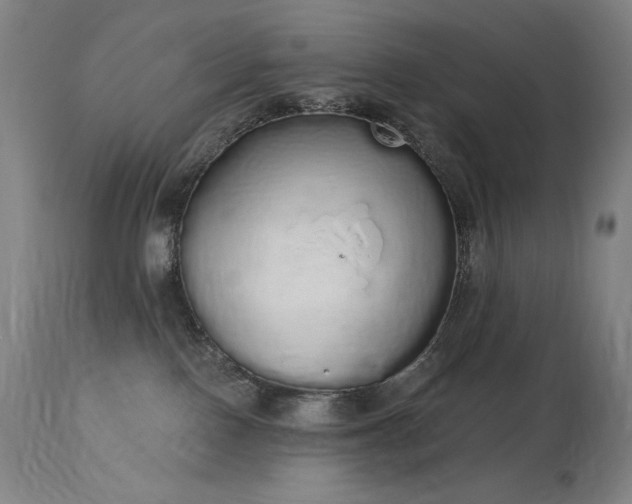 X0000114000090200910021326