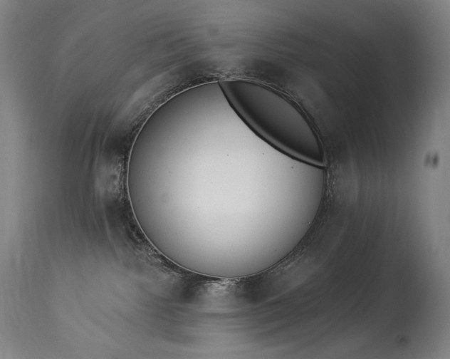 X0000114000092200910021326