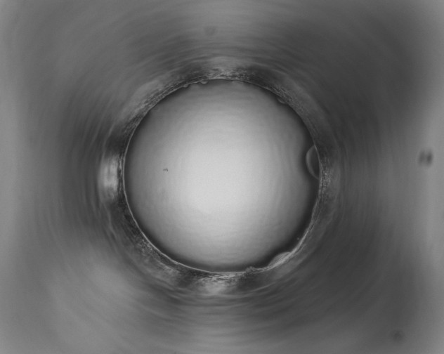 X0000114000094200910021326