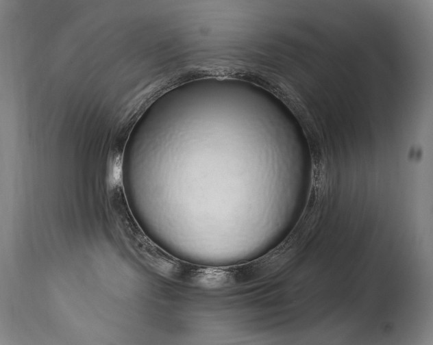 X0000114000095200910021326
