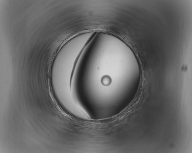 X0000114000097200910021325