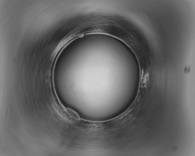 X0000114000099200910021325